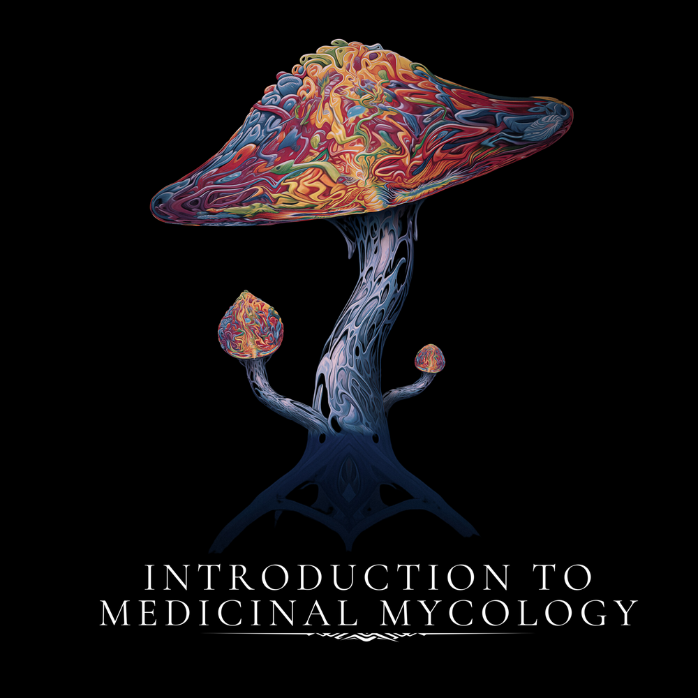 Introduction to Medicinal Mycology